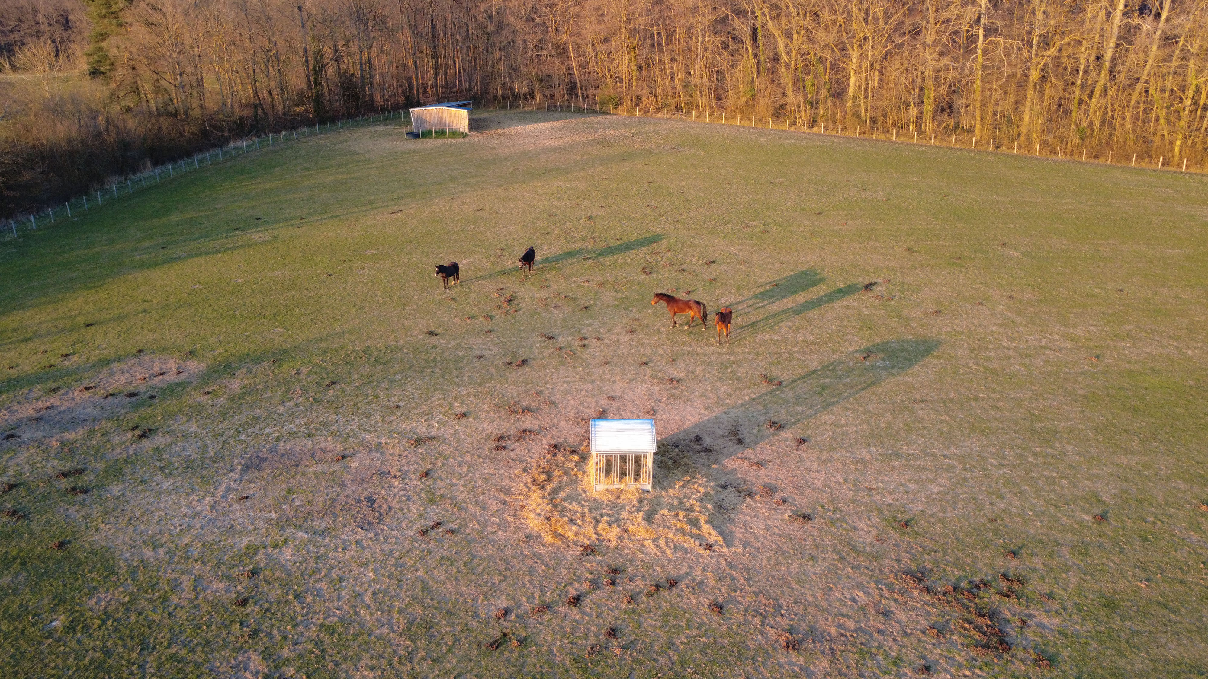 Photos du Vexin avec des chevaux