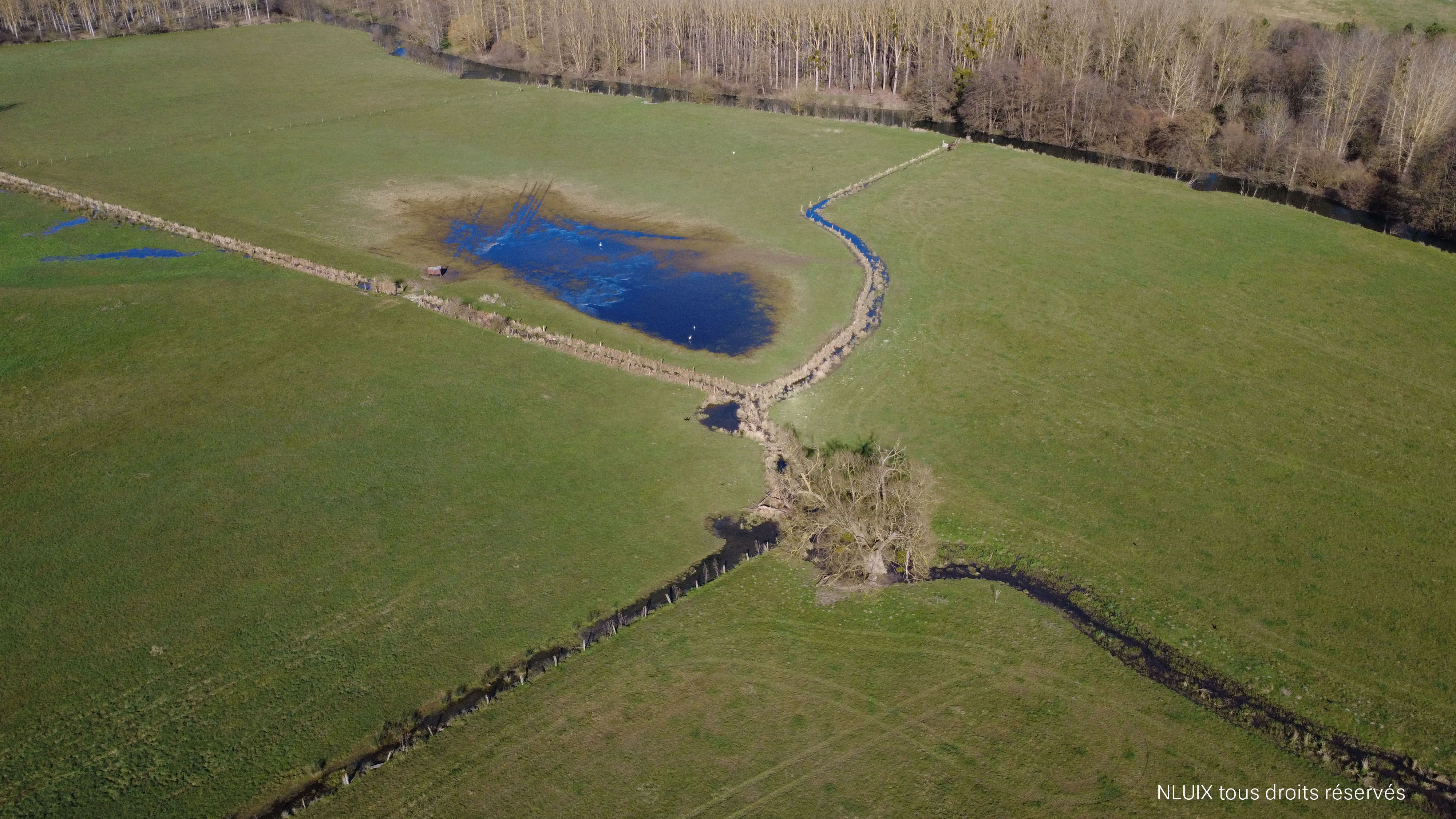 Une photo ressemblant à une silhouette filiforme